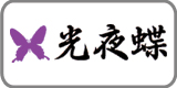 光夜蝶